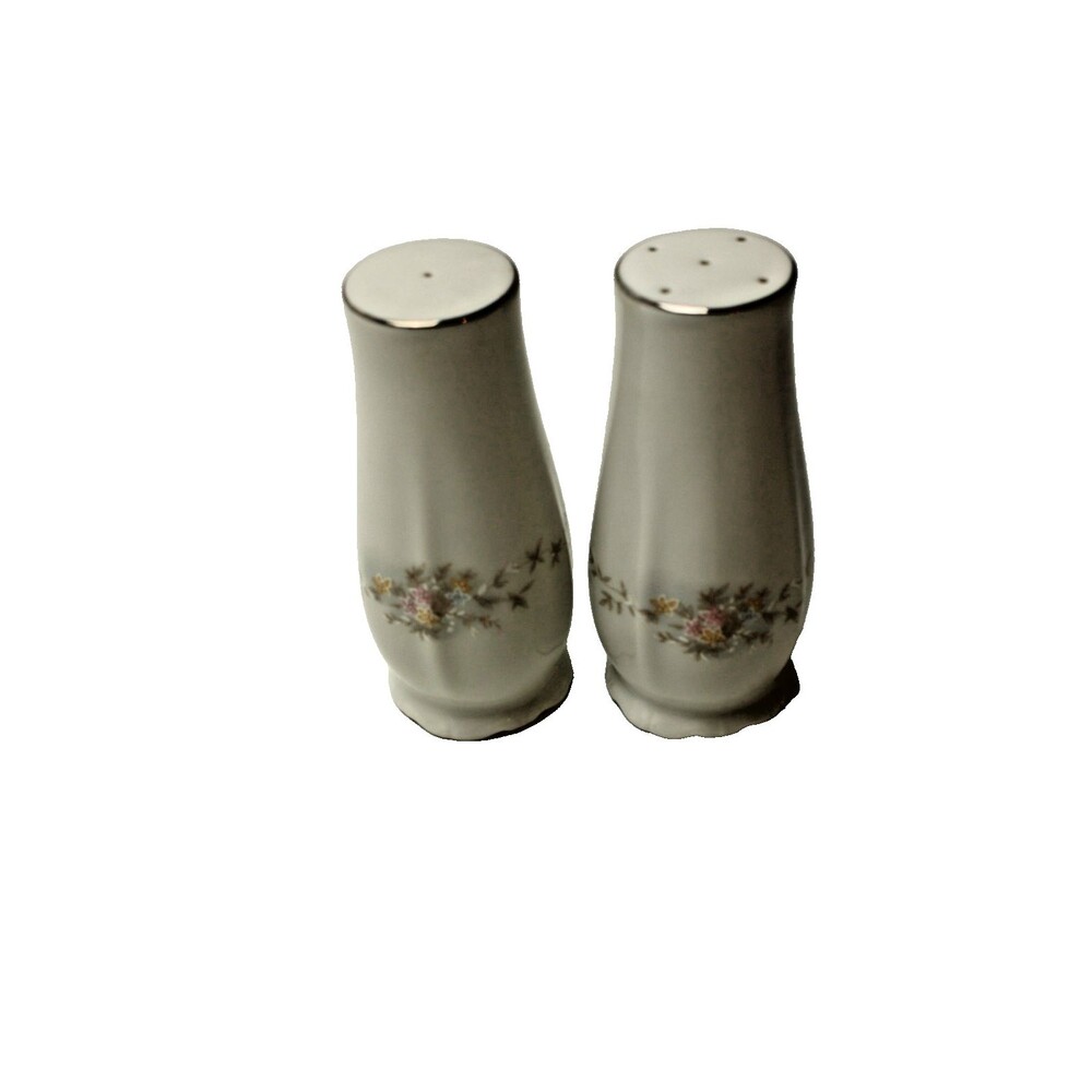 Johann Haviland Floral Splendor Salt & Pepper Shakers Bavaria Germany